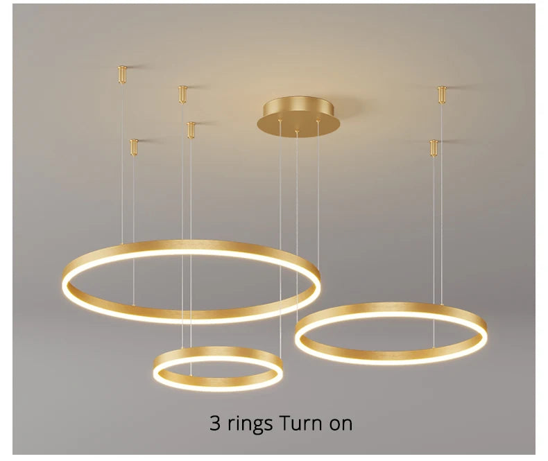 Stylish and modern chandelier for contemporary decor