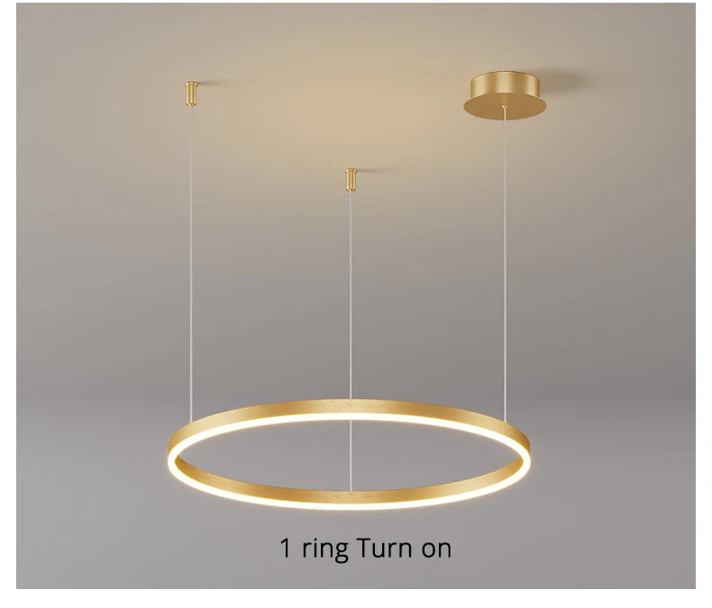ceiling light - Lighting - Ceiling Lights - Chandeliers - LED Ceiling Chandelier
