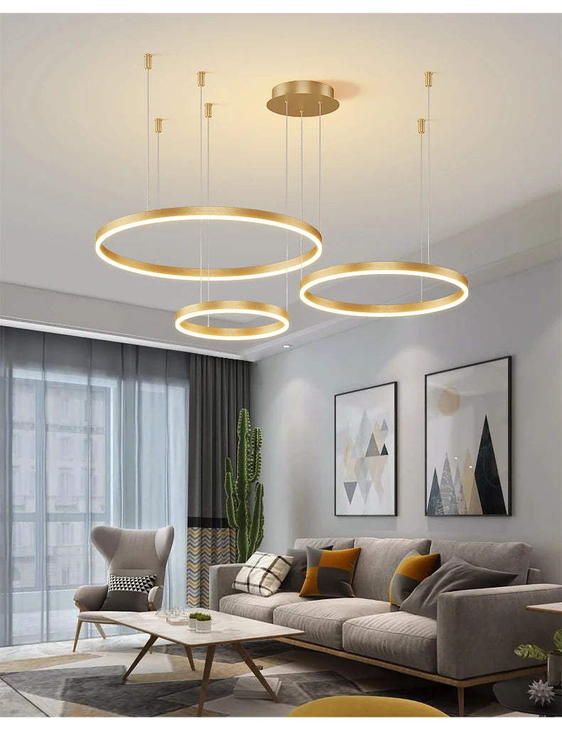 Modern style iron chandelier with led bulbs