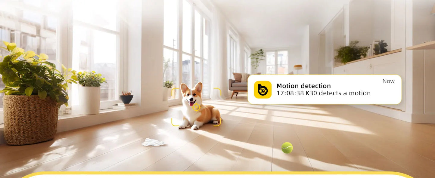 Motion detection camera