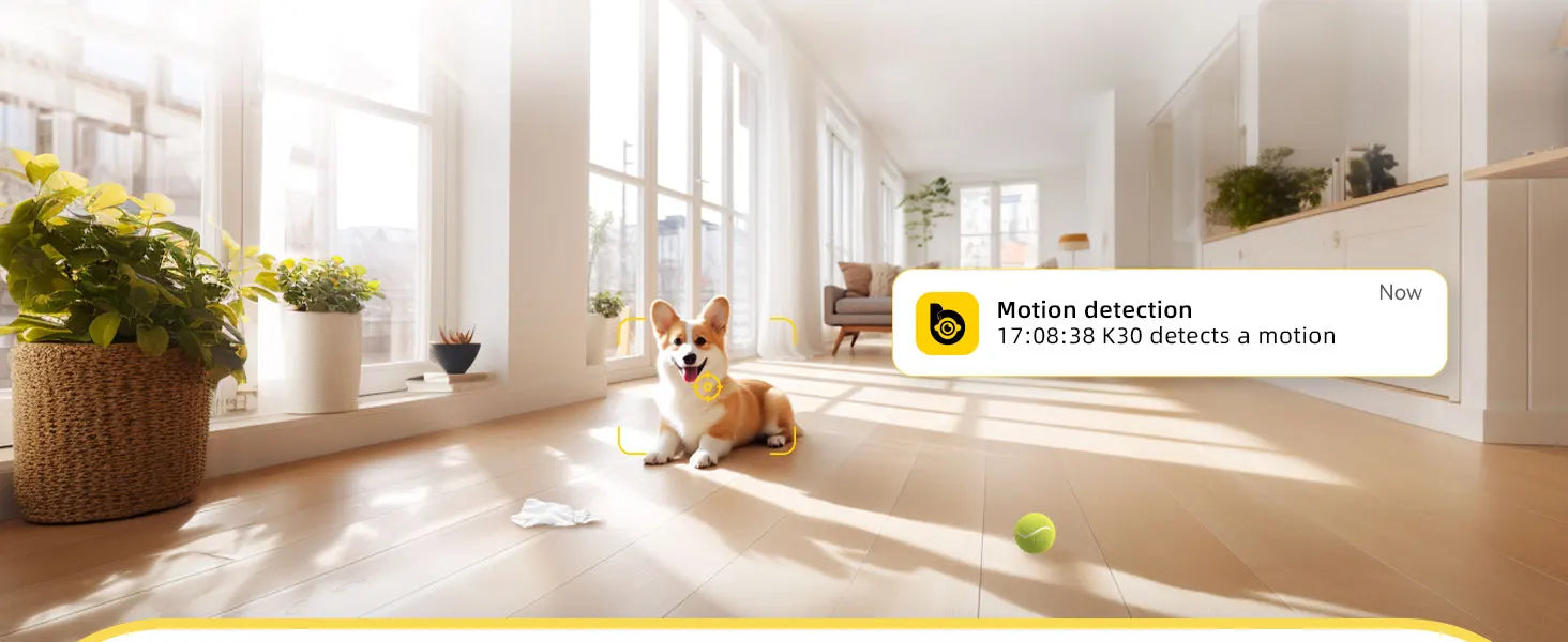 Motion detection camera