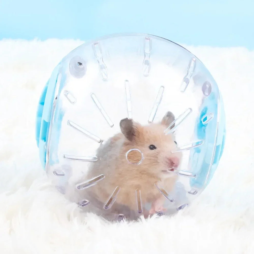 interactive hamster exercise ball - Pet Supplies - Exercise Ball for Small Pets