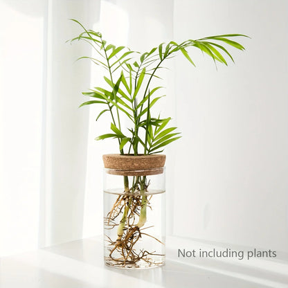scindapsus water vase - Home - Garden - Gardening - Planters - Pots - Desktop Glass Hydroponics Plant Vase