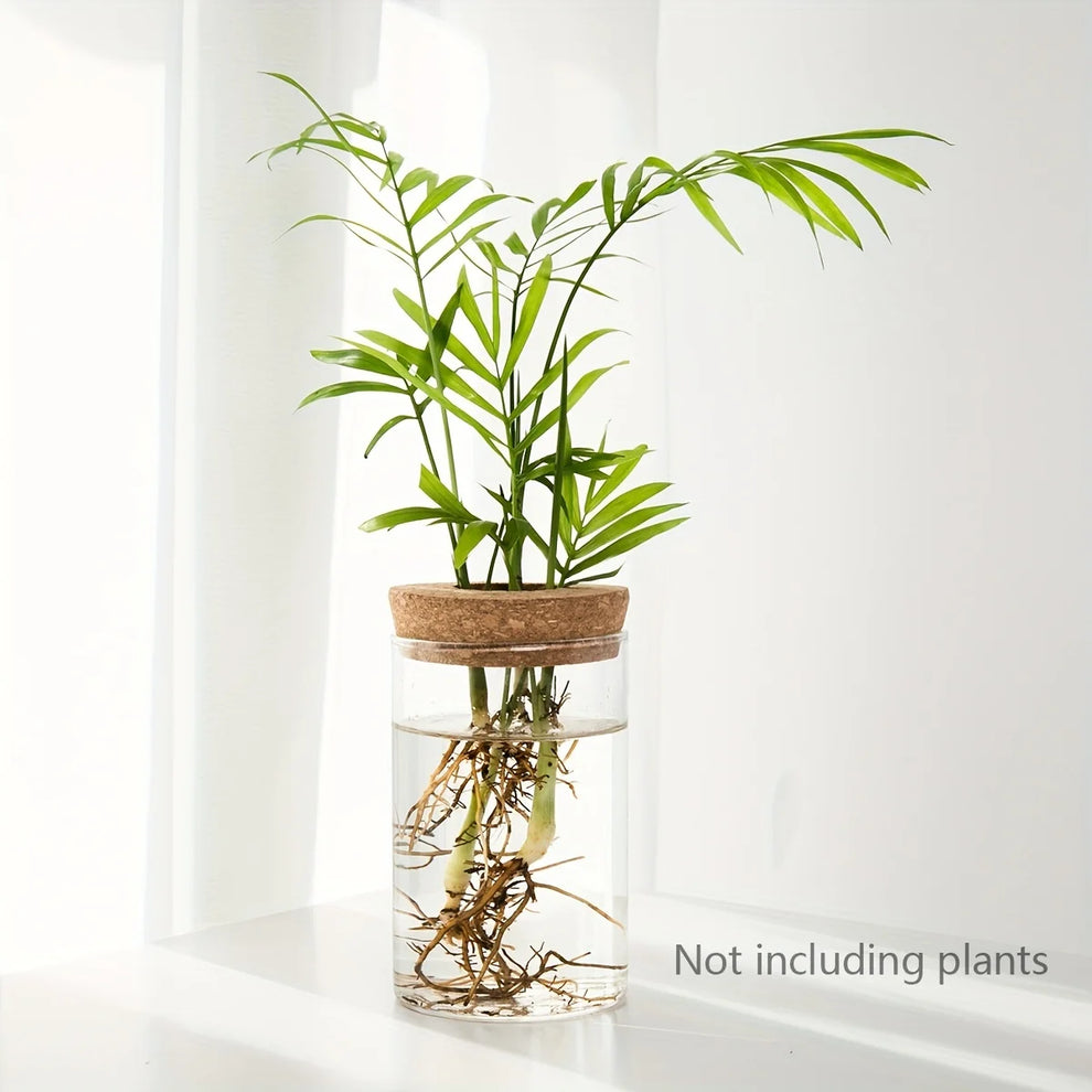 scindapsus water vase - Home - Garden - Gardening - Planters - Pots - Desktop Glass Hydroponics Plant Vase