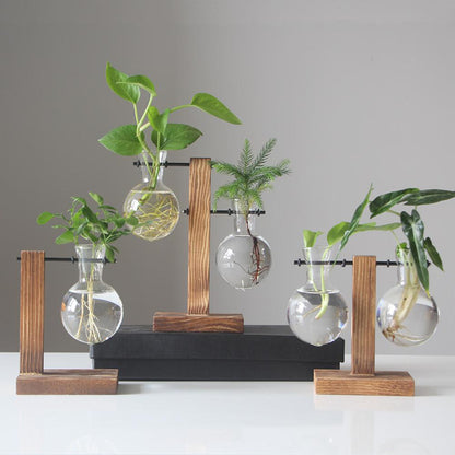 glass planter wooden stand - Home - Garden - Planters - Pots - Glass bulb tabletop planter with wooden stand