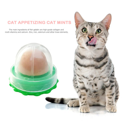 cat catnip toys - Pet Supplies - Cats - Treats - Catnip Licking Candy