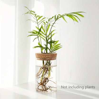 wooden stand hydroponics - Home - Garden - Gardening - Planters - Pots - Desktop Glass Hydroponics Plant Vase