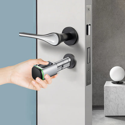 Fingerprint smart lock with remote access