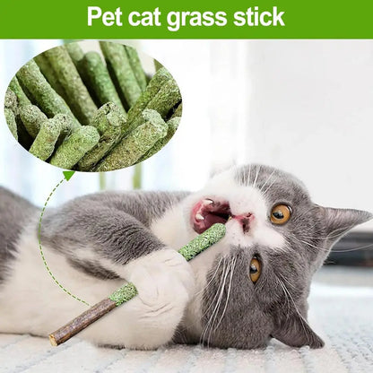 cat molar sticks buy - Pet Supplies - Cat Grass Sticks