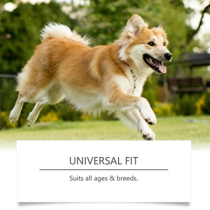 probiotic chews dogs - Pet Supplies - Dog Health Chews