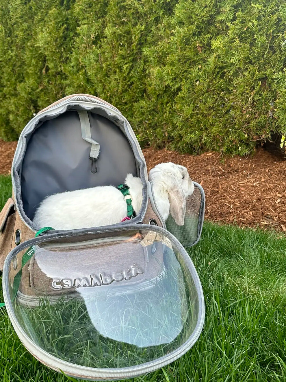 dog carrier sling - Pet Supplies - Transparent Folding Pet Carrier Backpack