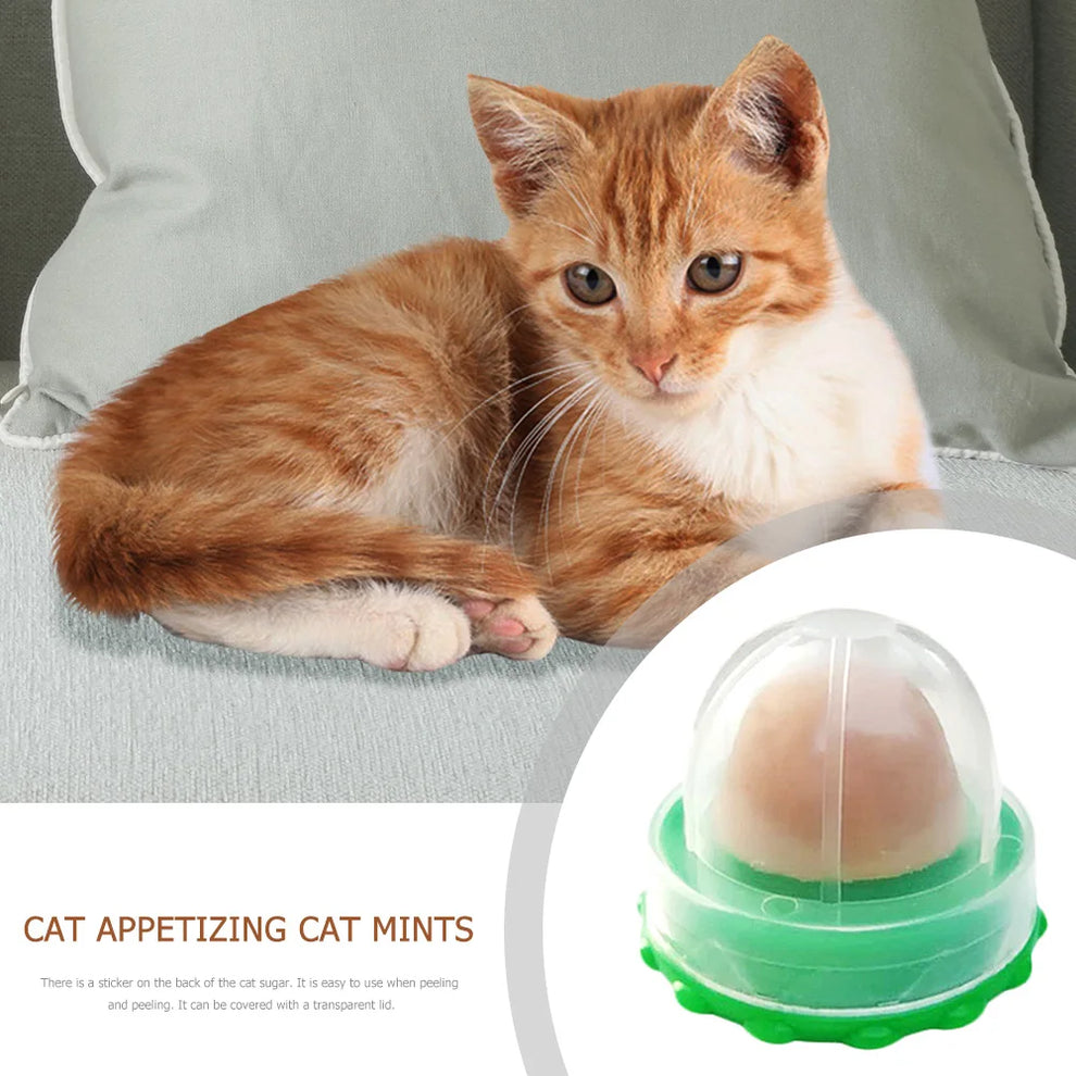 catnip candy ball - Pet Supplies - Cats - Treats - Catnip Licking Candy