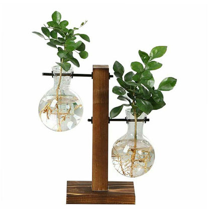 tabletop propagation bulbs - Home - Garden - Planters - Pots - Glass bulb tabletop planter with wooden stand