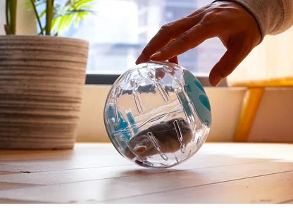 guinea pig exercise ball - Pet Supplies - Exercise Ball for Small Pets