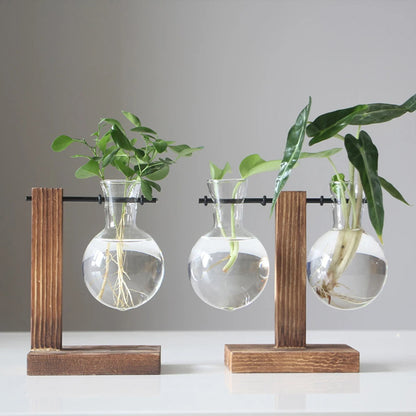 tabletop plant terrarium - Home - Garden - Planters - Pots - Glass bulb tabletop planter with wooden stand