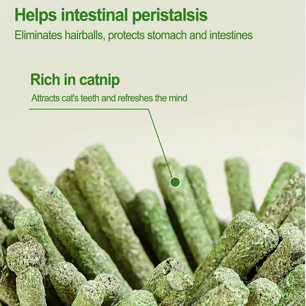dental care cat grass sticks - Pet Supplies - Cat Grass Sticks