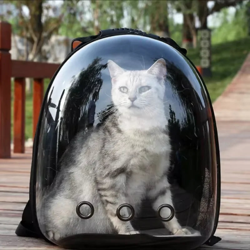 Cat travel backpack