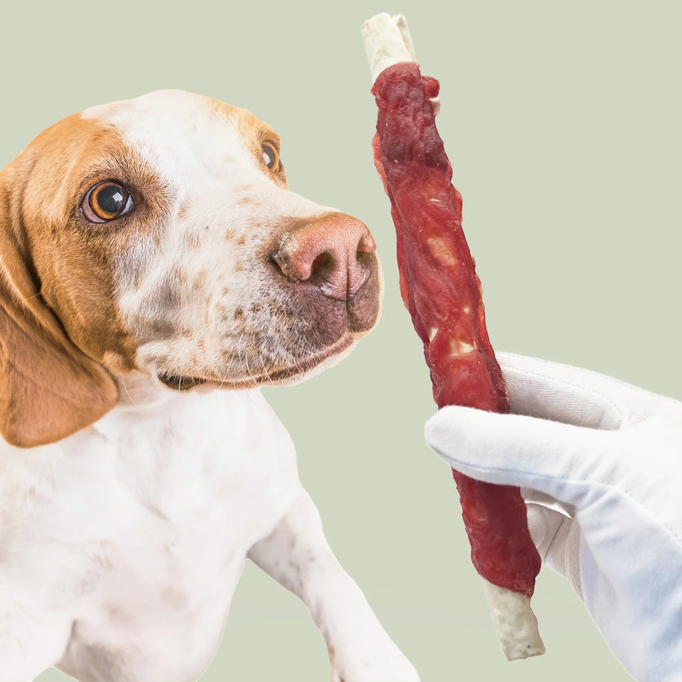 dog crate - Pet Supplies - Dog Treat