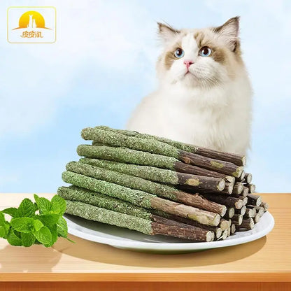 cat grass sticks - Pet Supplies - Cat Grass Sticks