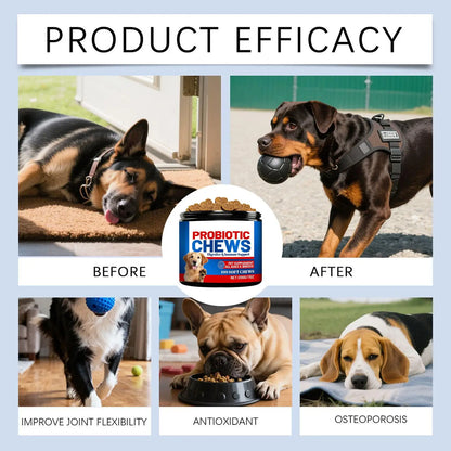 grain free chews - Pet Supplies - Dog Health Chews