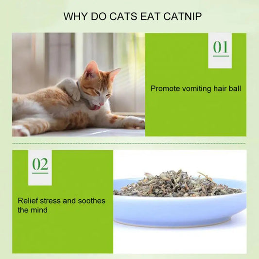 catnip for cats - Pet Supplies - Cat Mint Powder Treats