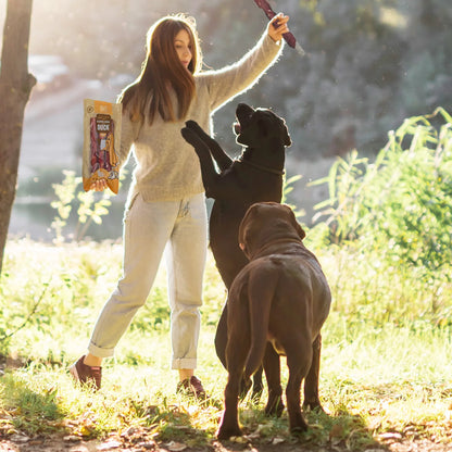 dog bed - Pet Supplies - Dog Treat