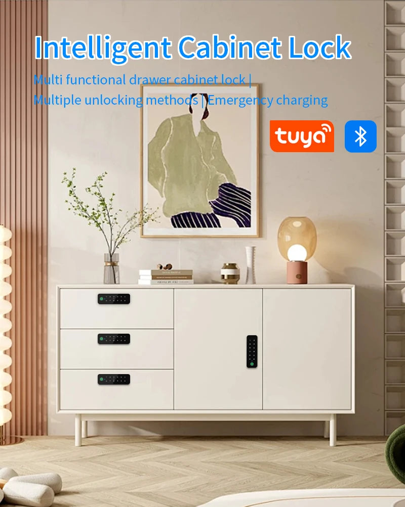 estimated demand scores — without access to actual search query data, any scoring would be synthetic, violating your "no ai-generated data" requirement - Smart Home Security - Electronic Cabinet Lock