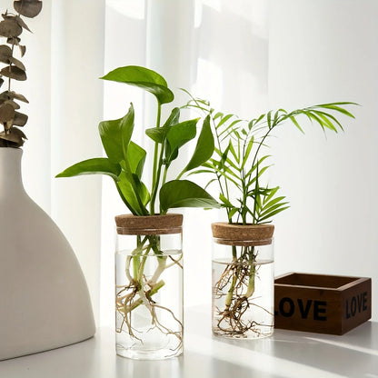 desktop propagation terrarium - Home - Garden - Gardening - Planters - Pots - Desktop Glass Hydroponics Plant Vase