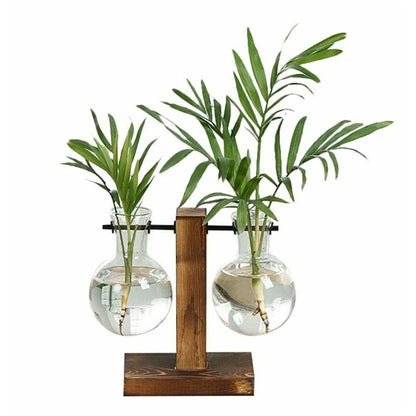propagation station glass wood - Home - Garden - Planters - Pots - Glass bulb tabletop planter with wooden stand