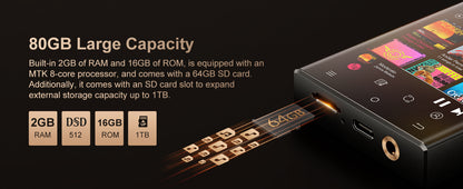 Oilsky dsd audio player with expandable storage